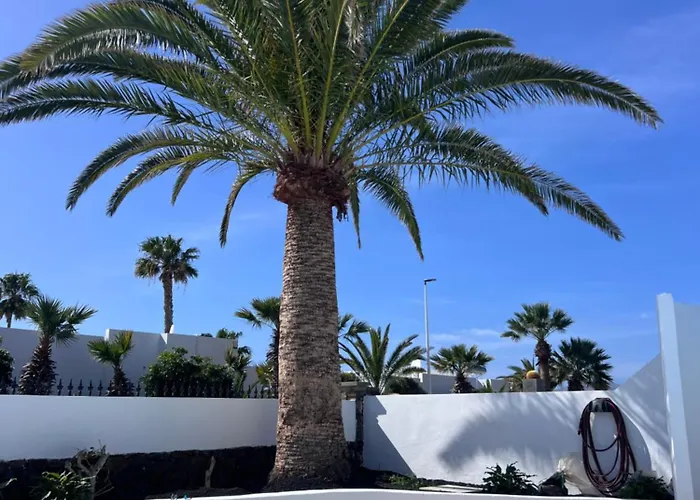 La Favorita Puerto del Carmen (Lanzarote)